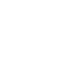 Zalo Paid Performance Services