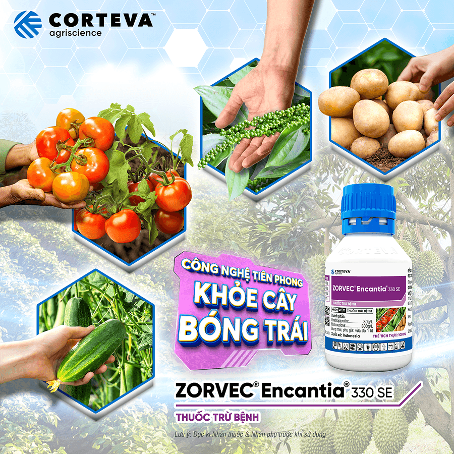corteva-content-image-no-shadow-6