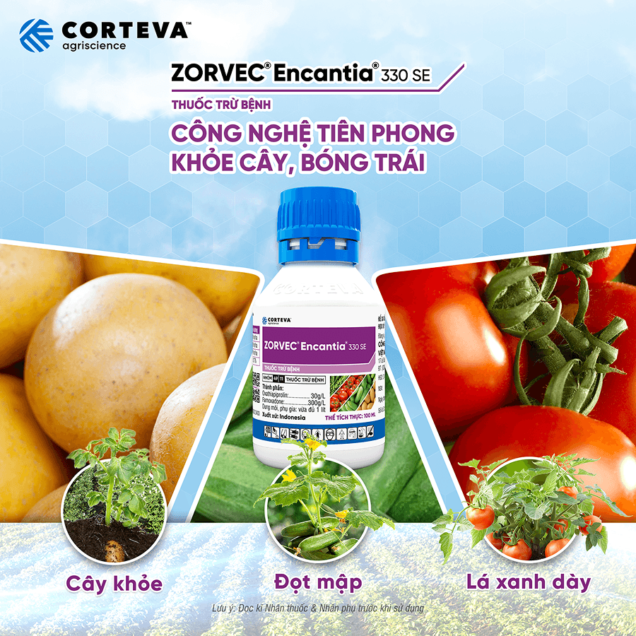corteva-content-image-no-shadow-3