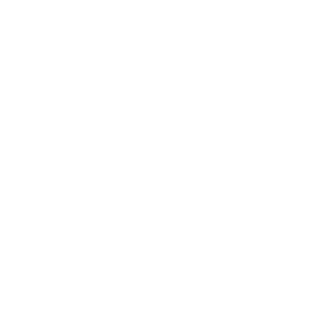 Technical SEO service